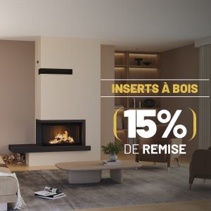 Insert à bois